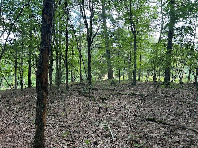 0 Camp Branch Rd, Ellijay, GA 30540 - photo 1