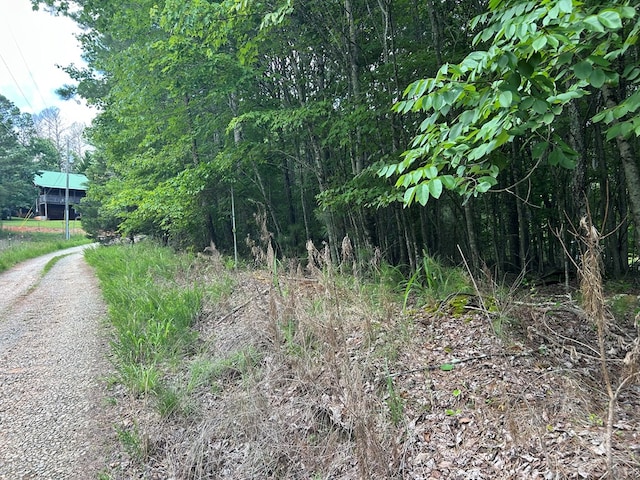 0 Camp Branch Rd, Ellijay, GA 30540 - photo 3