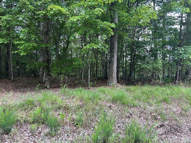 0 Camp Branch Rd, Ellijay, GA 30540 - photo 7