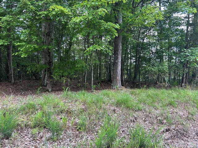 0 Camp Branch Rd, Ellijay, GA 30540 - photo 6
