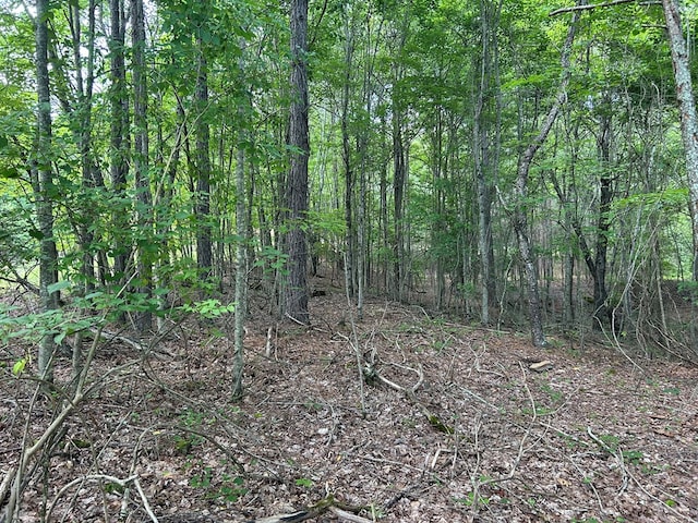0 Camp Branch Rd, Ellijay, GA 30540 - photo 4