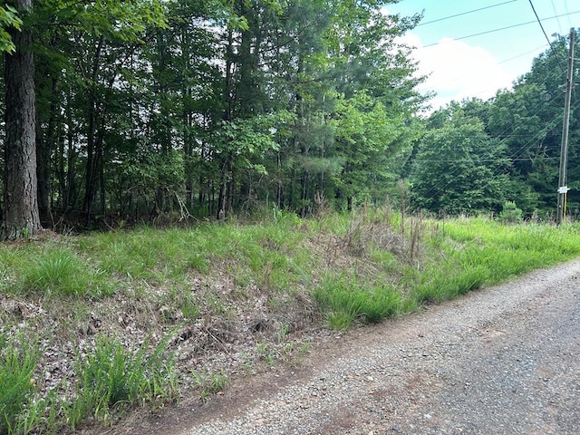 0 Camp Branch Rd, Ellijay, GA 30540 - photo 2