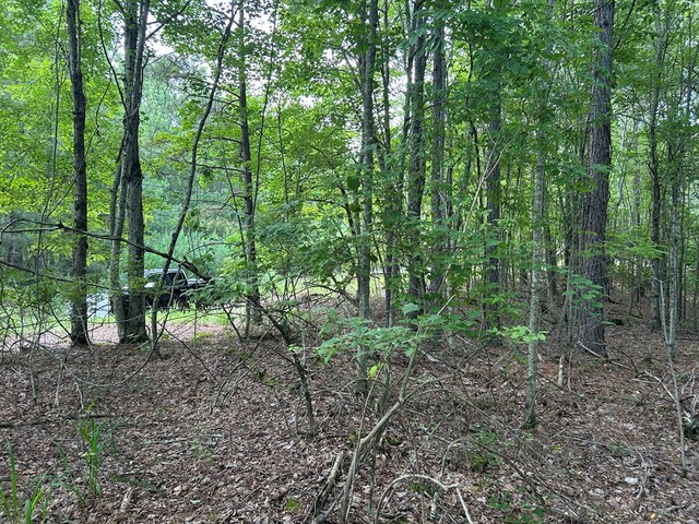 0 Camp Branch Rd, Ellijay, GA 30540 - photo 5