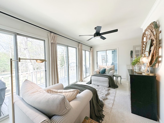 living room with ornamental molding, a ceiling fan, and carpet floors