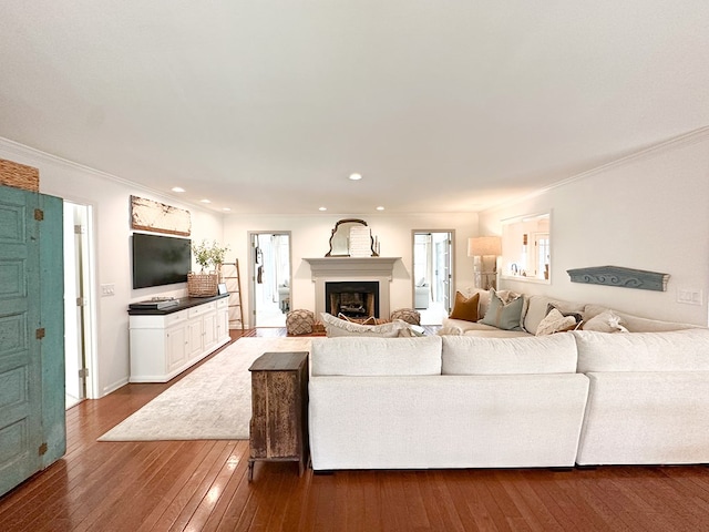 living area featuring crown molding, dark wood-style flooring, and a fireplace