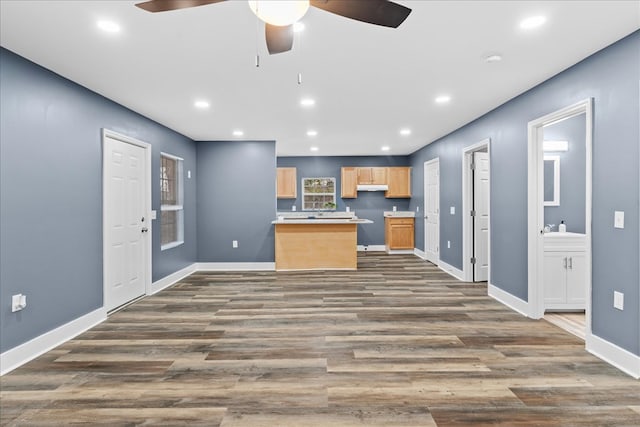 kitchen featuring ceiling fan and dark hardwood / wood-style flooring