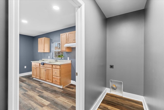 laundry area featuring electric dryer hookup, sink, and dark hardwood / wood-style flooring