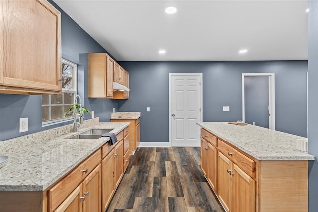 kitchen with light stone counters, dark hardwood / wood-style flooring, sink, and a kitchen island