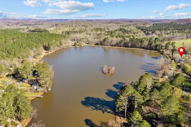 birds eye view of property featuring a water view and a view of trees