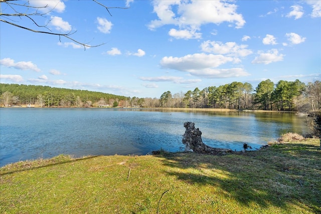 water view with a view of trees