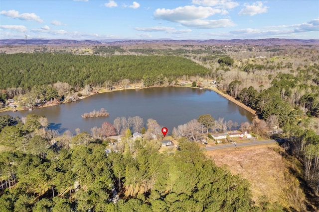 drone / aerial view with a water view and a forest view