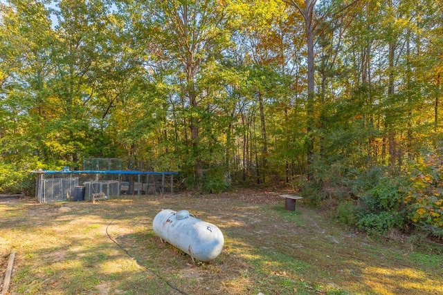 view of yard with a trampoline