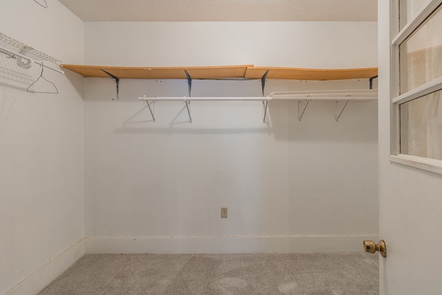 spacious closet featuring carpet