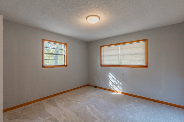 empty room featuring light colored carpet and a textured ceiling