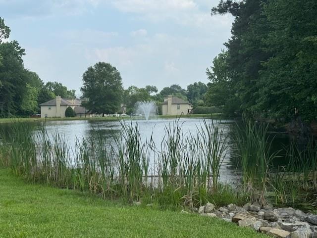 1694 Red Oak Dr Unit 185, Dalton, GA 30721 - water view