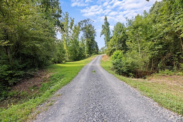 1868 Emerson Rd, Cohutta, GA 30710 - photo 31