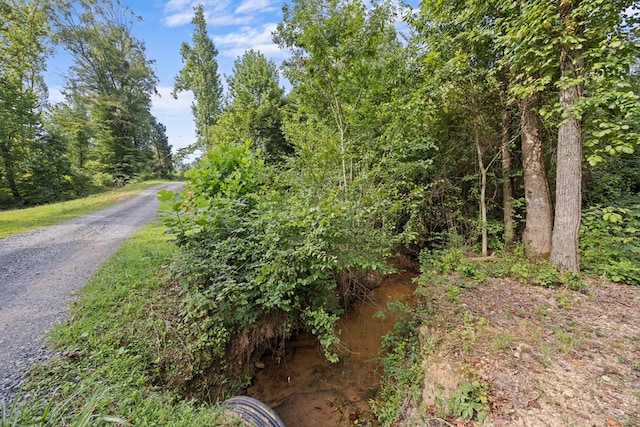 1868 Emerson Rd, Cohutta, GA 30710 - photo 30