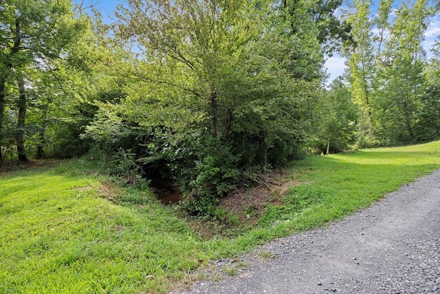 1868 Emerson Rd, Cohutta, GA 30710 - photo 29