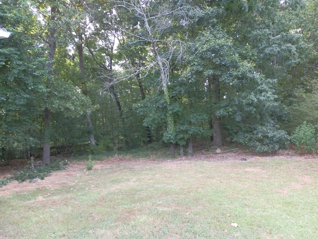 33 Woodhaven Ct, Cartersville, GA 30120 - photo 29