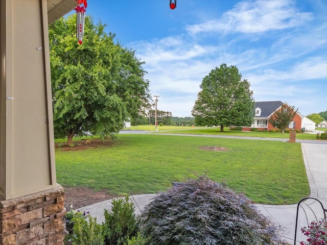 1000 Robin Way, Rocky Face, GA 30740 - view of green lawn