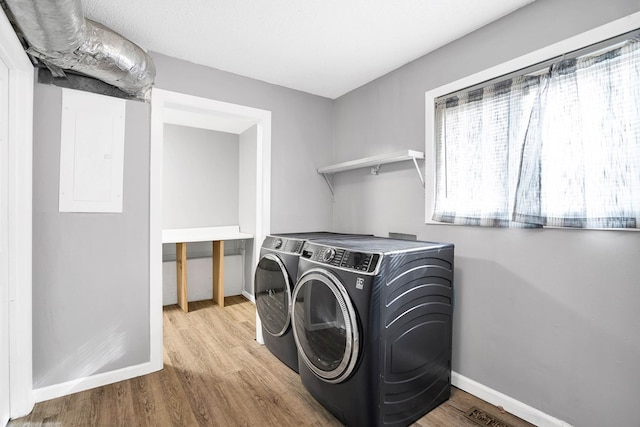 laundry room with hardwood / wood-style flooring, independent washer and dryer, and electric panel