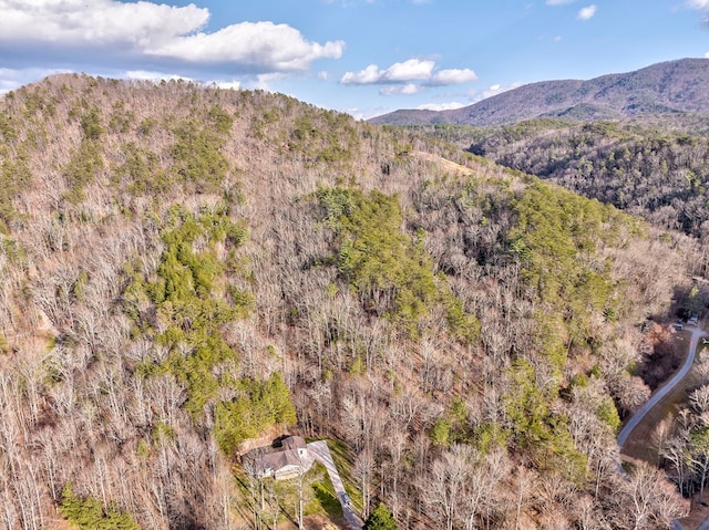 property view of mountains