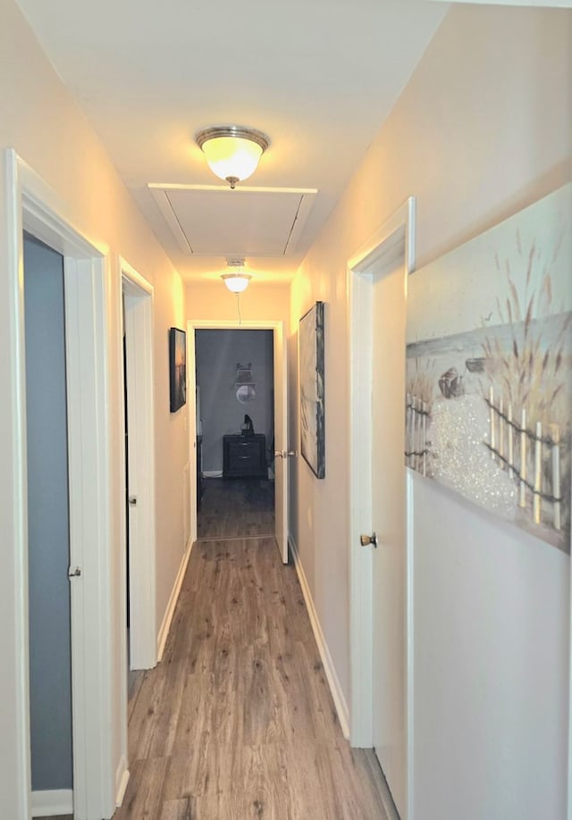 hall with hardwood / wood-style floors