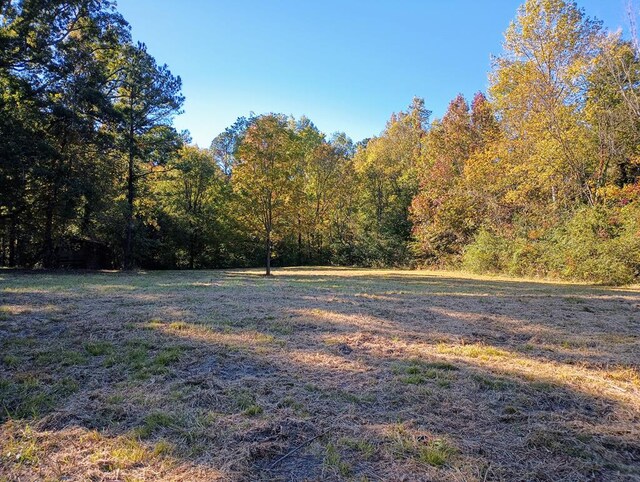 5080 Holly Creek Cool Springs Rd, Chatsworth, GA 30705 - photo 27