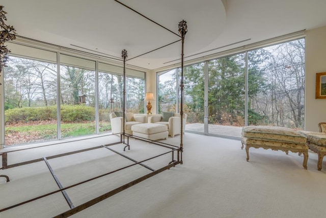 unfurnished sunroom with a healthy amount of sunlight