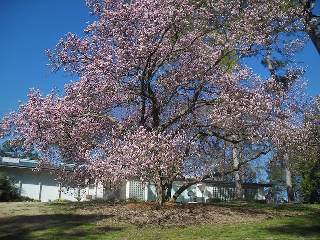 view of side of property featuring a yard