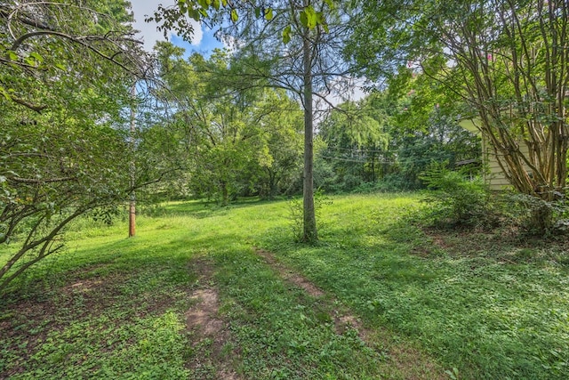255 Norton Bridge Rd, Chatsworth, GA 30705 - photo 27