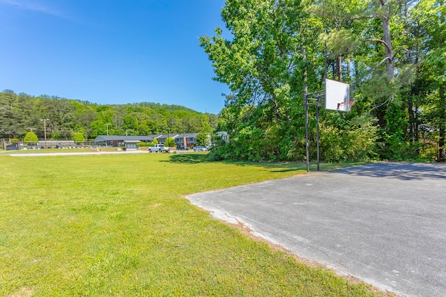 1900 Meadowbrook Cir, Dalton, GA 30720 - view of green lawn with a view of trees and basketball hoop