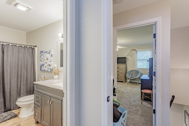 1900 Meadowbrook Cir, Dalton, GA 30720 - bathroom featuring toilet, vanity, and a shower with curtain