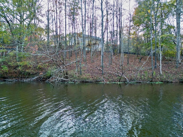 view of water feature