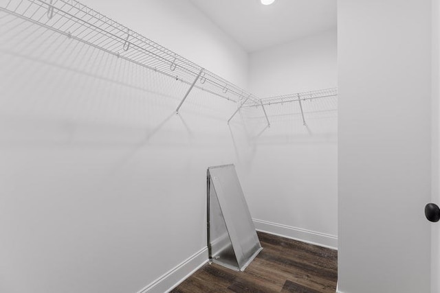 walk in closet featuring dark wood-type flooring