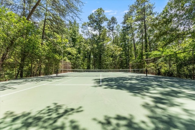 1218 Wildwood Ln, Dalton, GA 30720 - photo 4