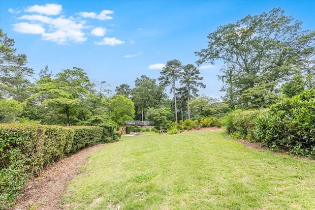 1218 Wildwood Ln, Dalton, GA 30720 - photo 73