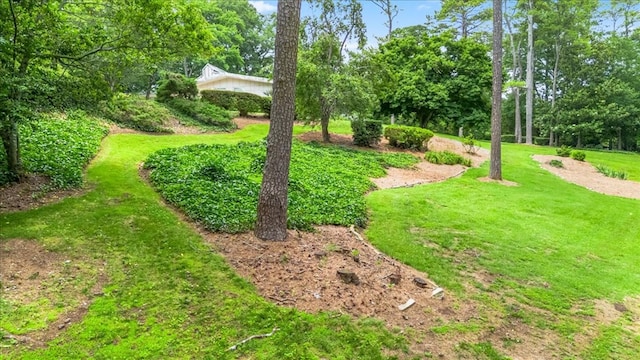 1218 Wildwood Ln, Dalton, GA 30720 - photo 52