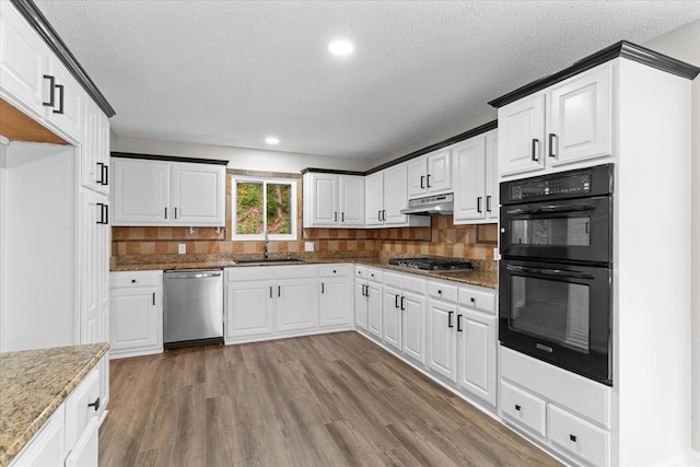 2219 Rocky Face Cir, Dalton, GA 30740 - kitchen with appliances with stainless steel finishes, under cabinet range hood, light wood-style flooring, stone countertops, and decorative backsplash