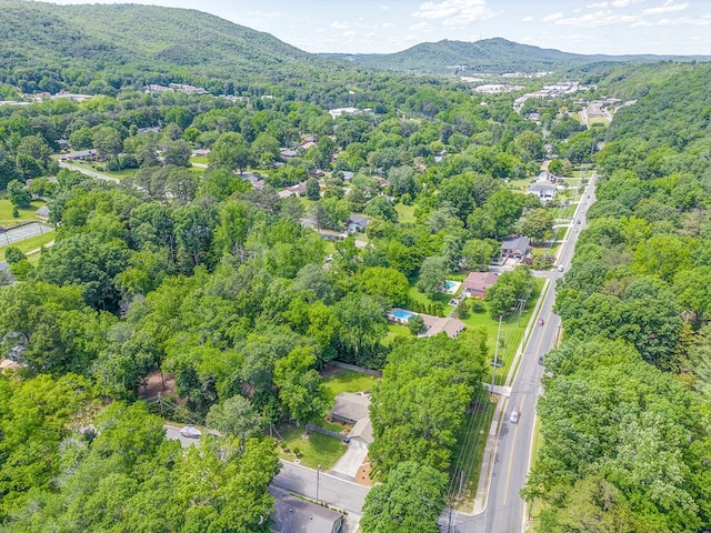 201 Tibbs Rd, Dalton, GA 30720 - drone / aerial view of a forest and a mountainous background