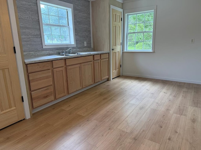 104 Riverview Dr, Dalton, GA 30721 - kitchen with a sink, light wood finished floors, and baseboards