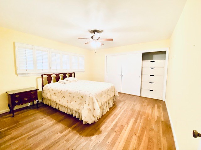 503 Williamsburg Dr, Dalton, GA 30720 - bedroom with light wood finished floors, ceiling fan, and a closet