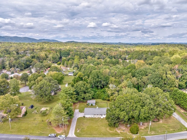 drone / aerial view featuring a mountain view