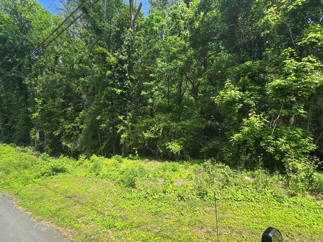 0 Dogwood Dr, Dalton, GA 30721 - photo 3