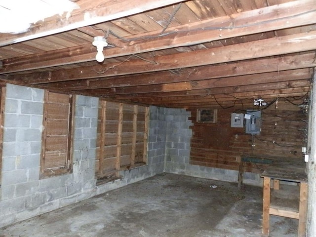 unfinished below grade area with concrete block wall