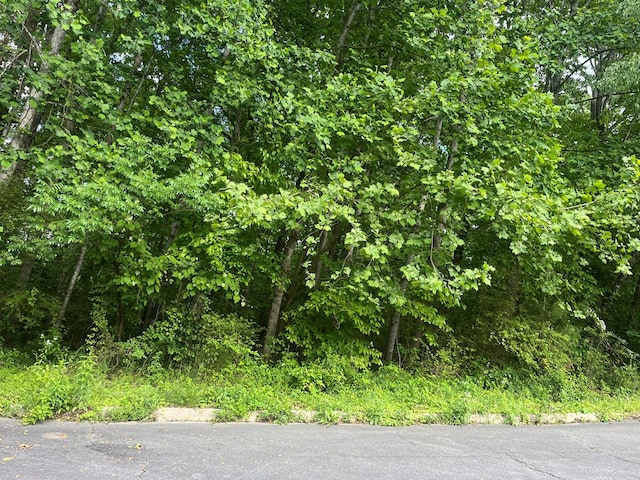 0 Belgian Dr, Dalton, GA 30720 - photo 2