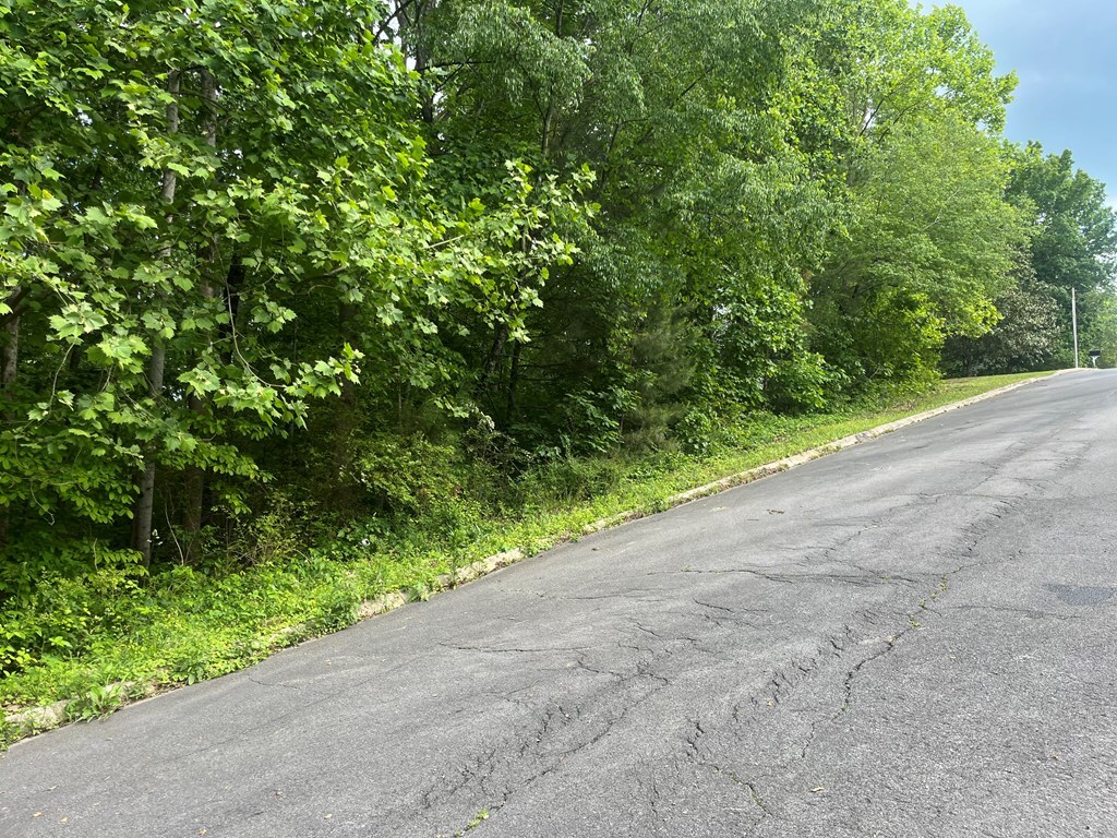 0 Belgian Dr, Dalton, GA 30720 - photo 3