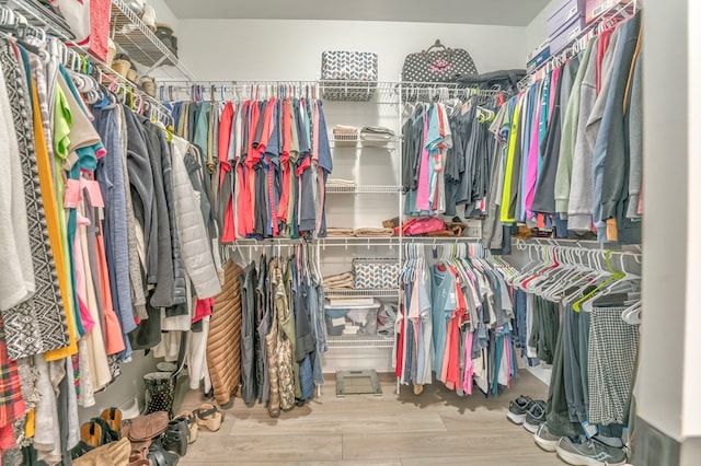 walk in closet featuring hardwood / wood-style flooring