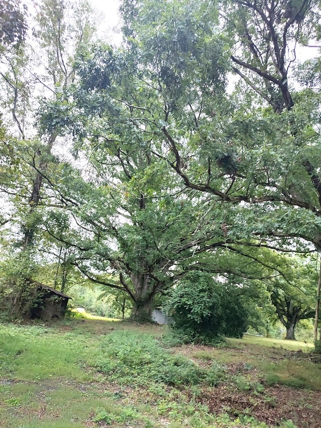 view of nature