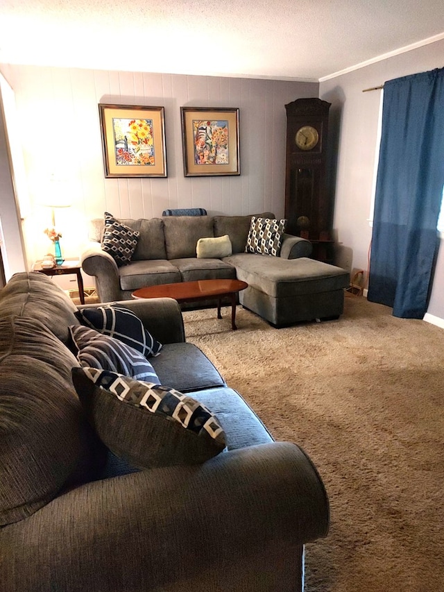 carpeted living room featuring a textured ceiling